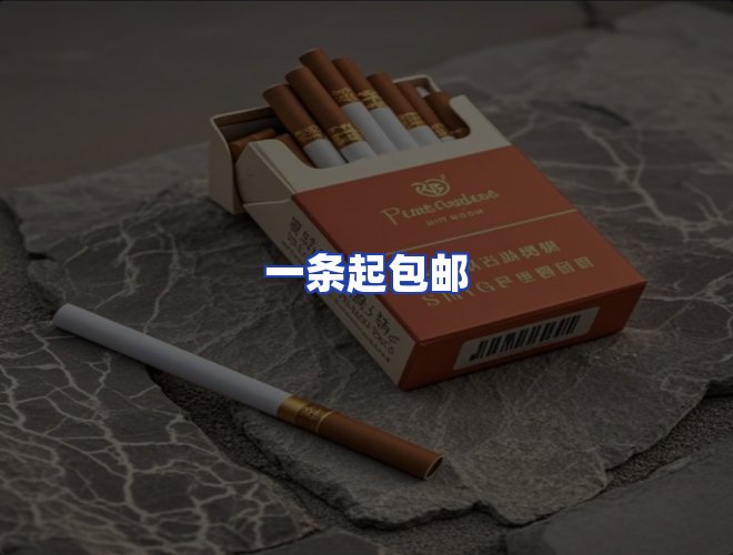 专业团队